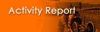 Activity Report